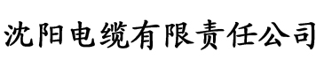 91香蕉视频骚片电缆厂logo